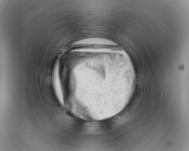 X0000091310085200709071123