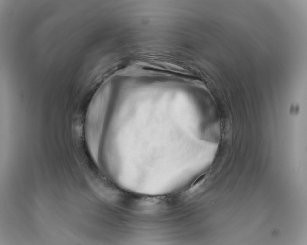 X0000091310086200709071123