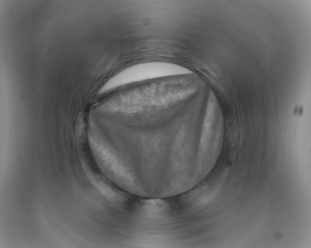 X0000091310087200709071123