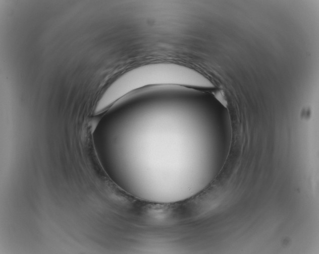 X0000091310088200709071123