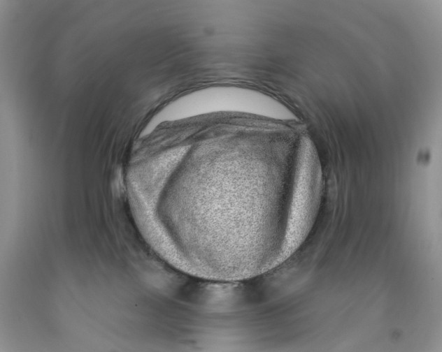 X0000091310089200709071123