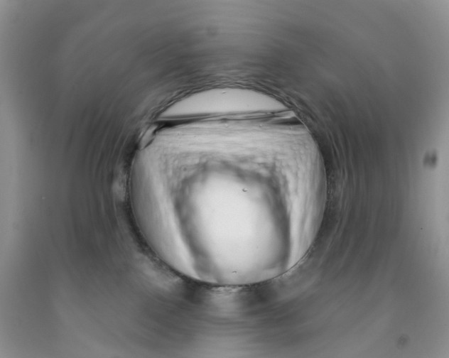 X0000091310090200709071123
