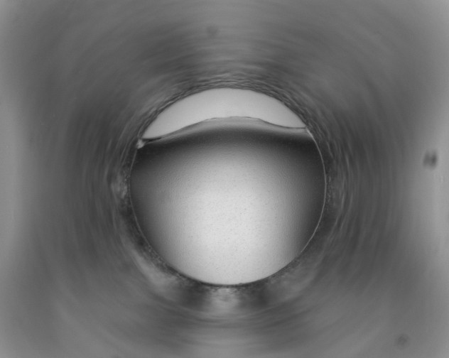 X0000091310091200709071123