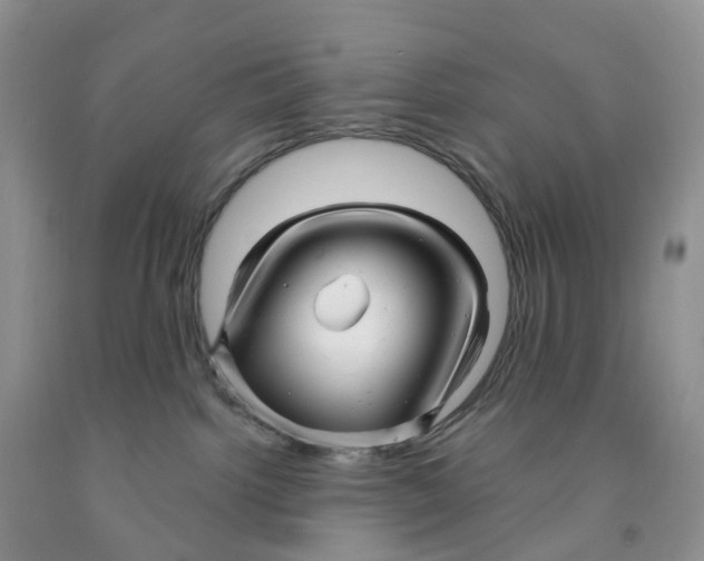 X0000091310092200709071123