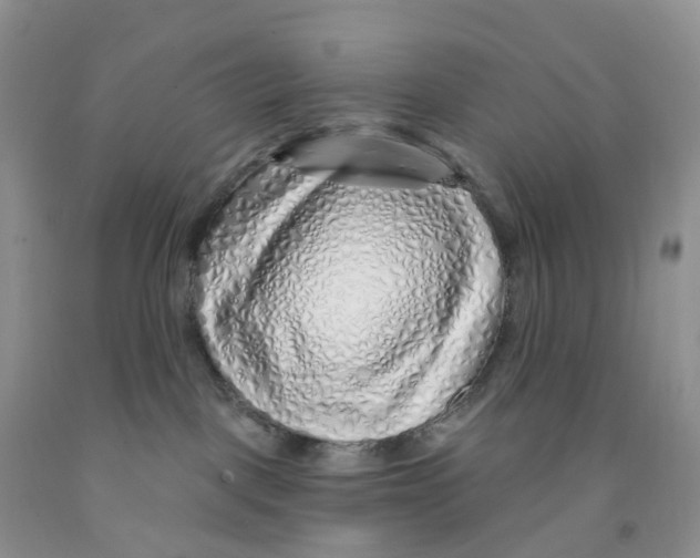 X0000091310093200709071123