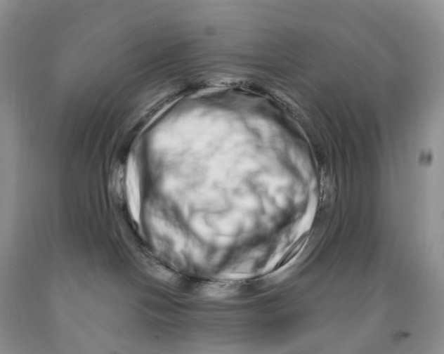 X0000091310094200709071123