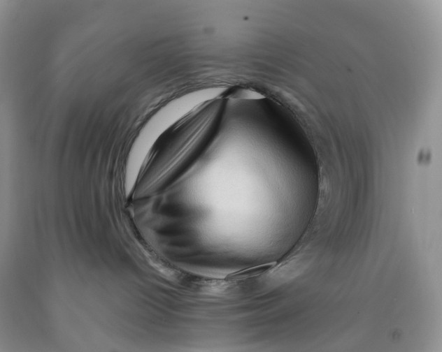 X0000091310096200709071123