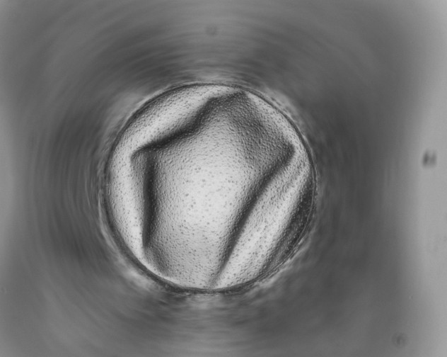 X0000091310097200709071122