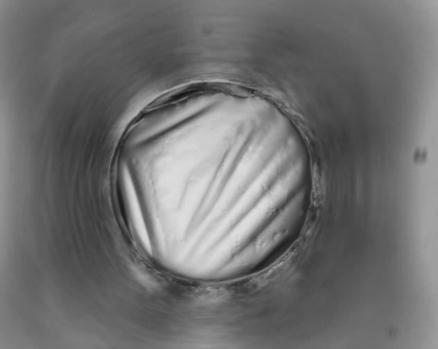 X0000091310099200709071122