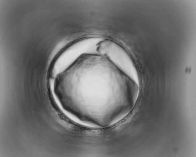 X0000091310102200709071122