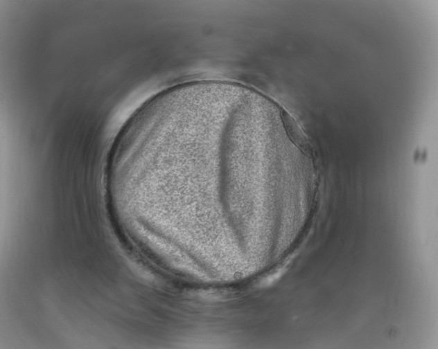 X0000091310103200709071122