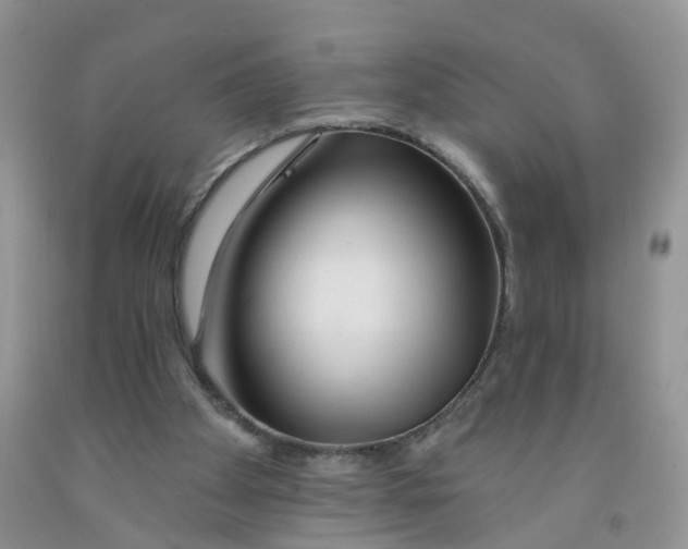 X0000091310105200709071122