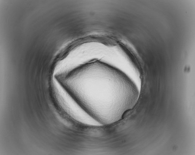 X0000091310106200709071122