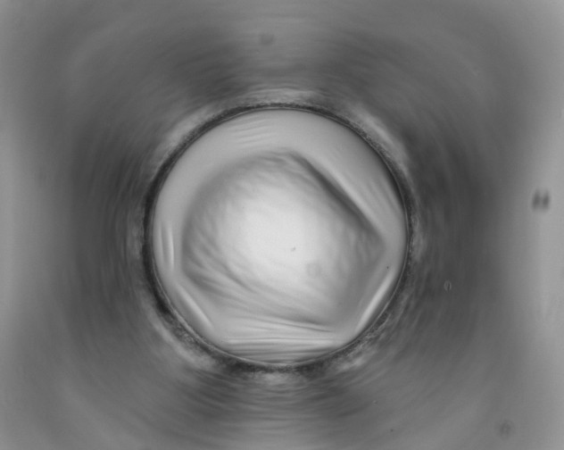 X0000091310107200709071122