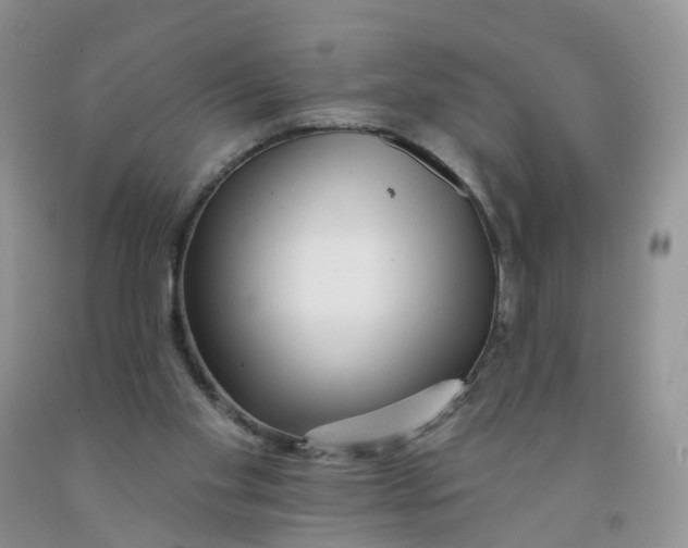 X0000091310109200709071122