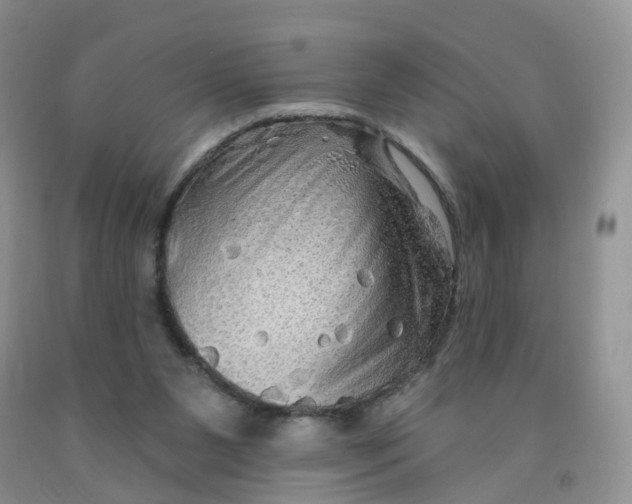 X0000091310111200709071122