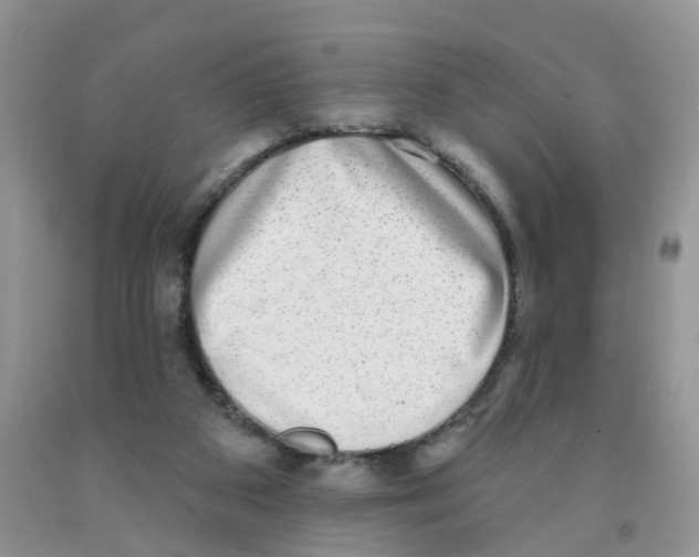 X0000091310113200709071122