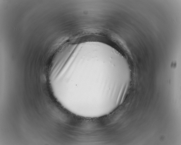 X0000091310114200709071122