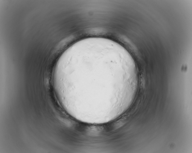 X0000091310115200709071122