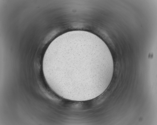 X0000091310116200709071122