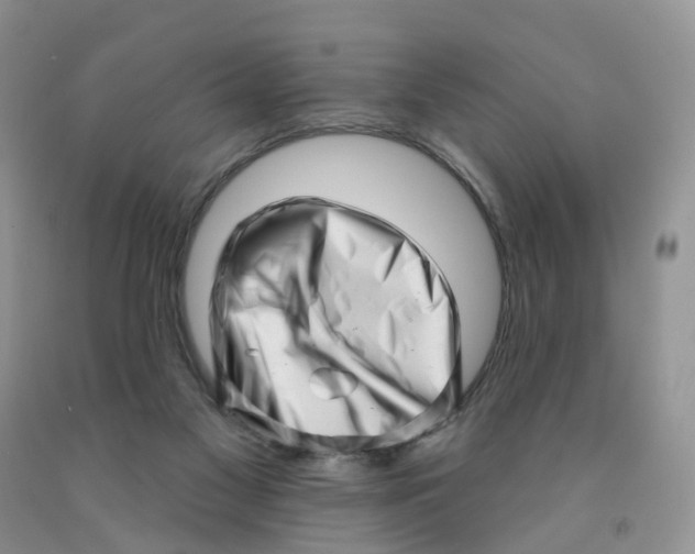 X0000091310117200709071122