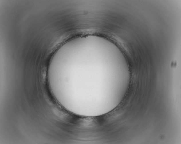 X0000091310118200709071122