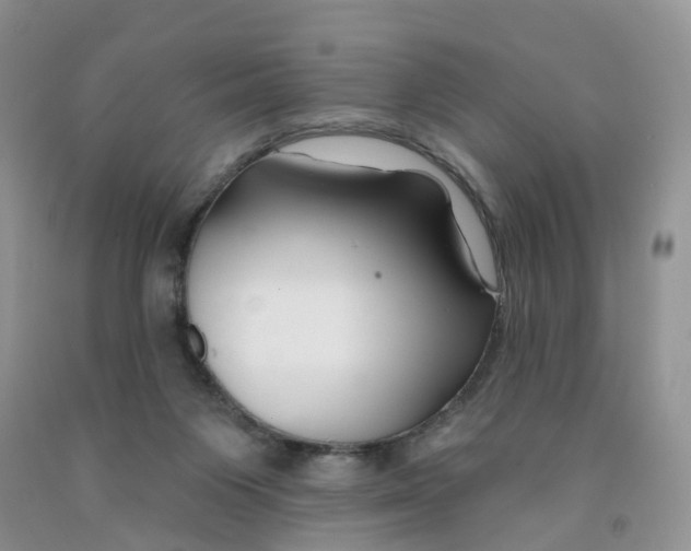 X0000091310119200709071122