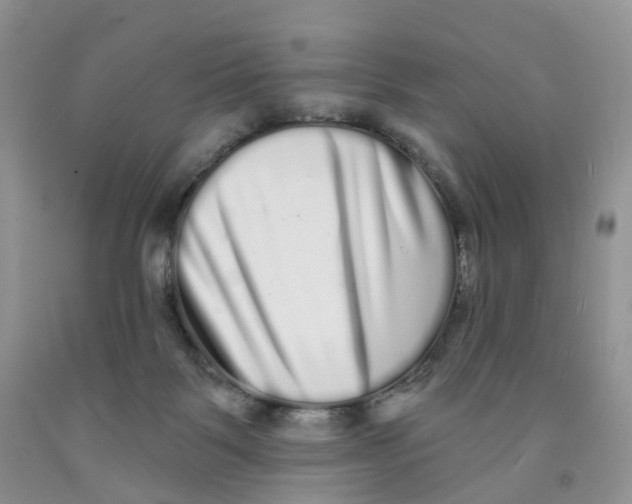 X0000091310123200709071122