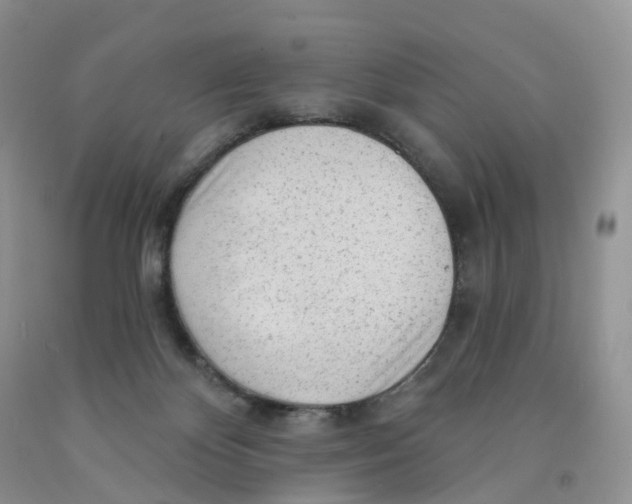 X0000091310124200709071122