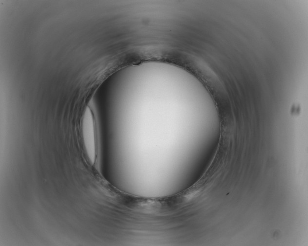 X0000091310125200709071122
