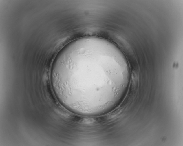 X0000091310127200709071122
