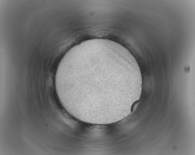X0000091310128200709071122