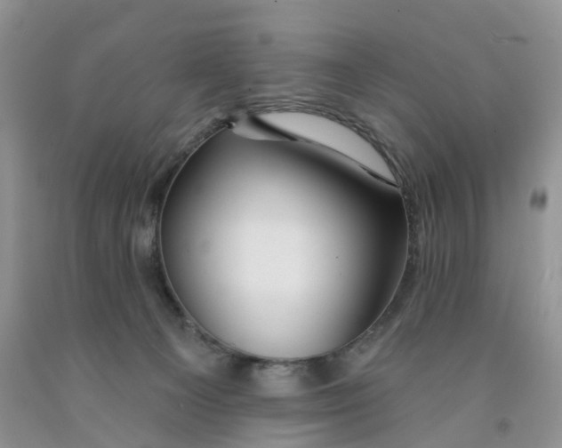 X0000091310129200709071122