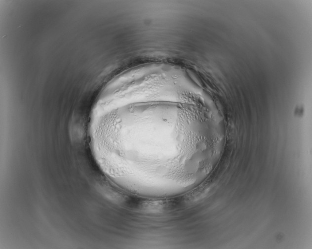 X0000091310131200709071122