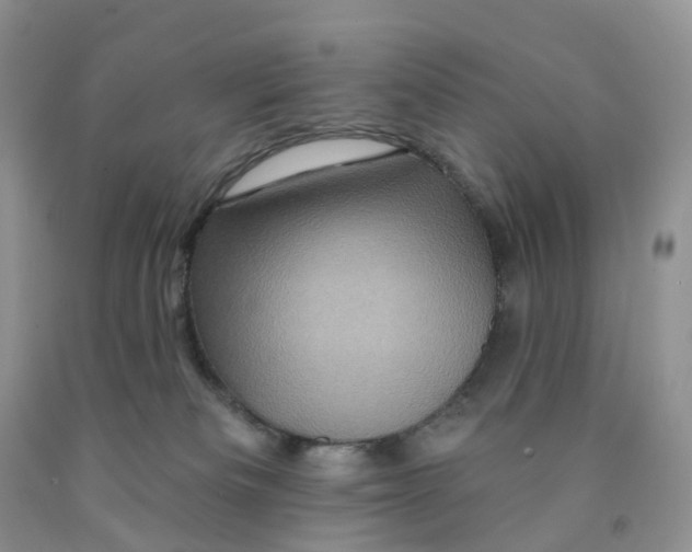 X0000091310133200709071122