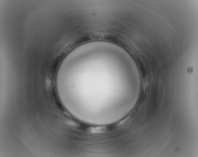 X0000091310134200709071122