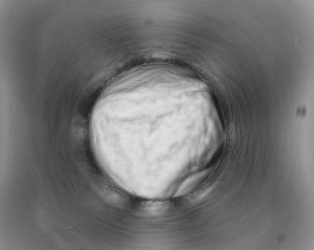 X0000091310135200709071122