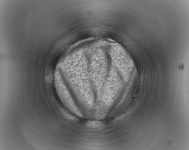 X0000091310137200709071122