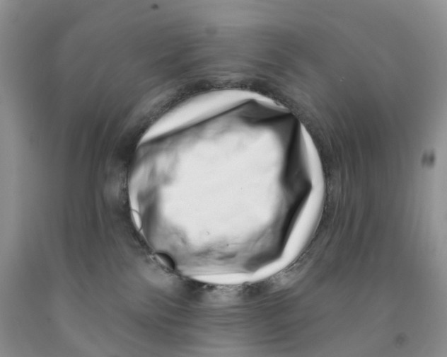 X0000091310138200709071122
