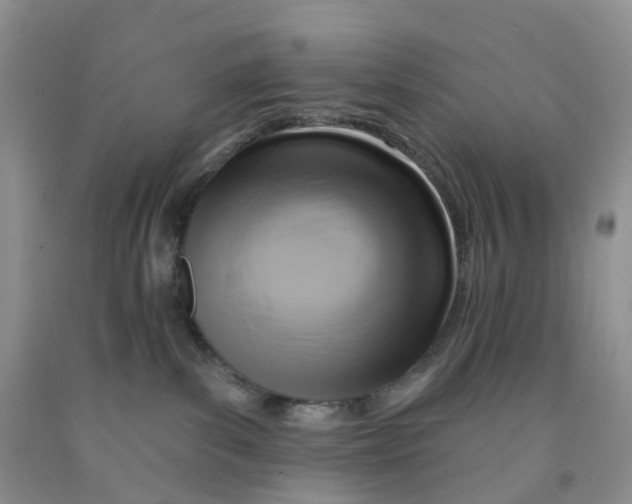X0000091310139200709071122