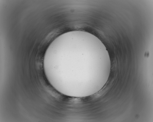 X0000091310140200709071122