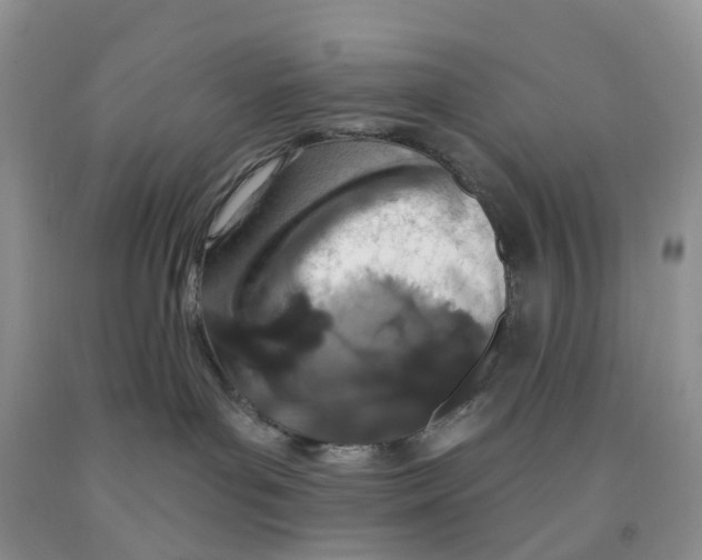X0000091310143200709071122