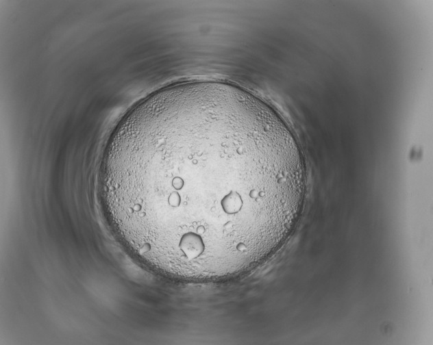 X0000091310145200709071121