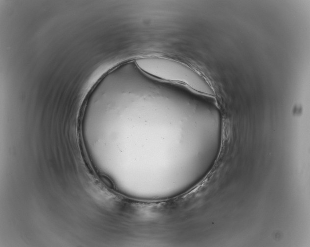 X0000091310147200709071121
