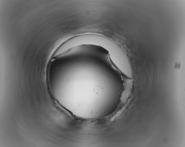 X0000091310148200709071121