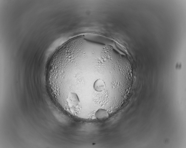X0000091310149200709071121