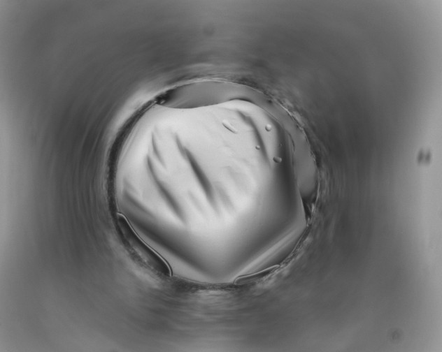 X0000091310150200709071121