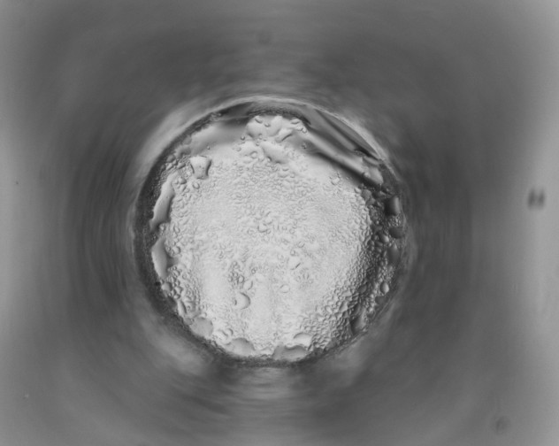 X0000091310151200709071121
