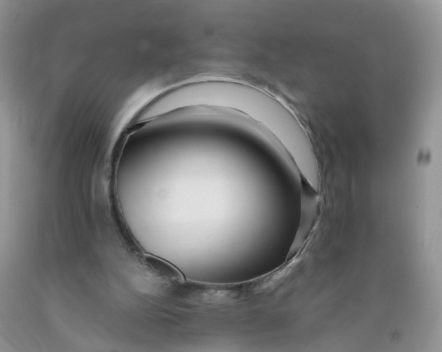 X0000091310152200709071121