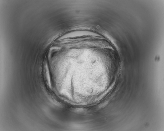 X0000091310153200709071121